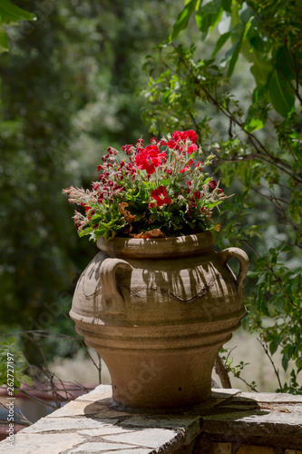 The plant grows in a flowerpot in the park