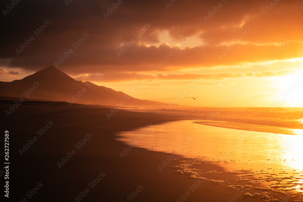 Golden beautiful red sunset at the beach with seagull flying for freedom and vacation concept - nobody in tropical wild scenic place with ocean and mountains - quiet and peace landscape on the summer