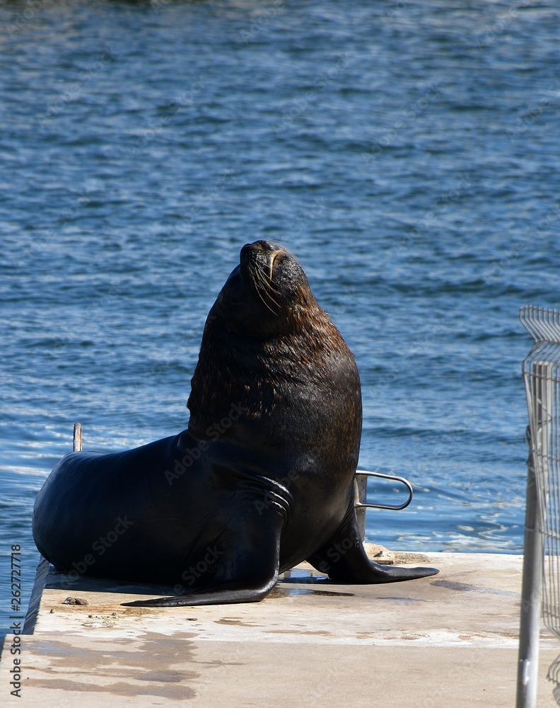 Naklejka premium URUGUAY, Piriapolis, Casa Pueblo, Punta del Este