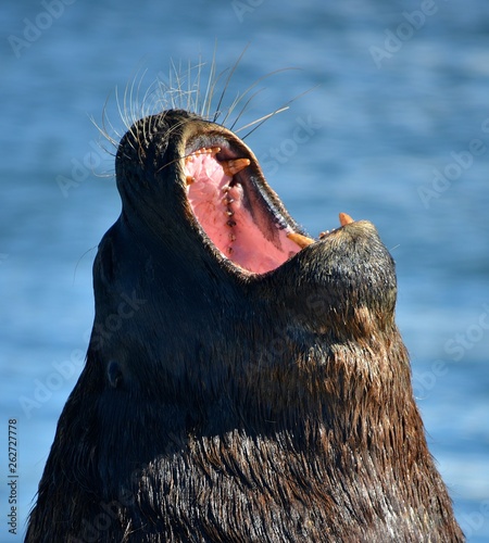 URUGUAY, Piriapolis, Casa Pueblo, Punta del Este