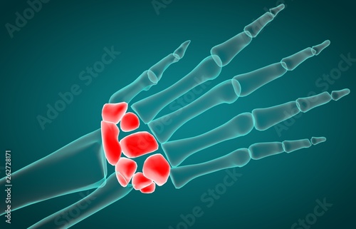 3D illustration of Carpal, medical concept. 