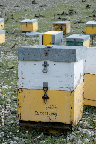 Beehive box © vasilis