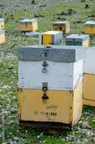bees in beehive © vasilis