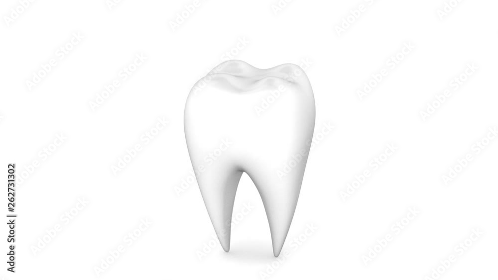 Costly dental treatment. Tooth on a white background absorbing silver coins. Costly dental treatment. Tooth on a white background absorbing silver coins.