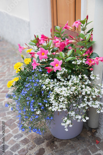 Dekorativer bunter Blumentopf vor dem Hauseingang