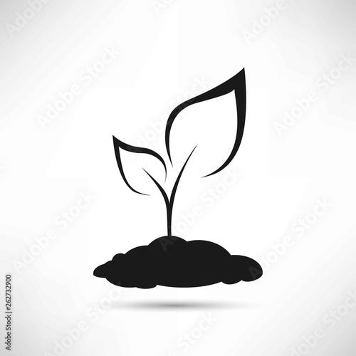 Plant Icon. Vector Illustration with shadow