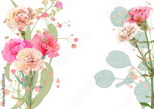 Horizontal Mother's Day card with carnation: pale, pink, flowers, twig gypsophile, eucalyptus, silver dollar, white background. Templates for design, botanical illustration in watercolor style, vector