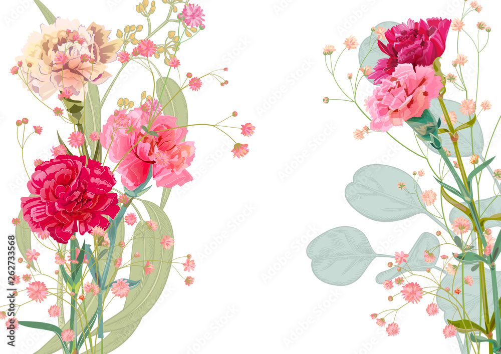 Horizontal Mother's Day card with carnation: red, pink, flowers, twig gypsophile, eucalyptus, silver dollar, white background. Templates for design, botanical illustration in watercolor style, vector
