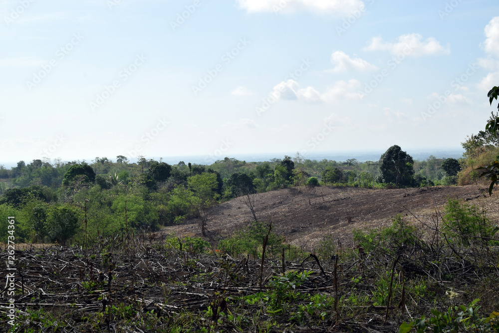 Obraz premium Barren corn field on post harvest