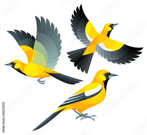 Stylized Birds - Jamaican Oriole