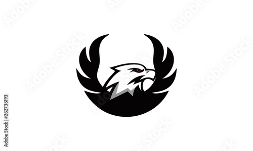 Fototapeta Naklejka Na Ścianę i Meble -  flying eagle simple logo
