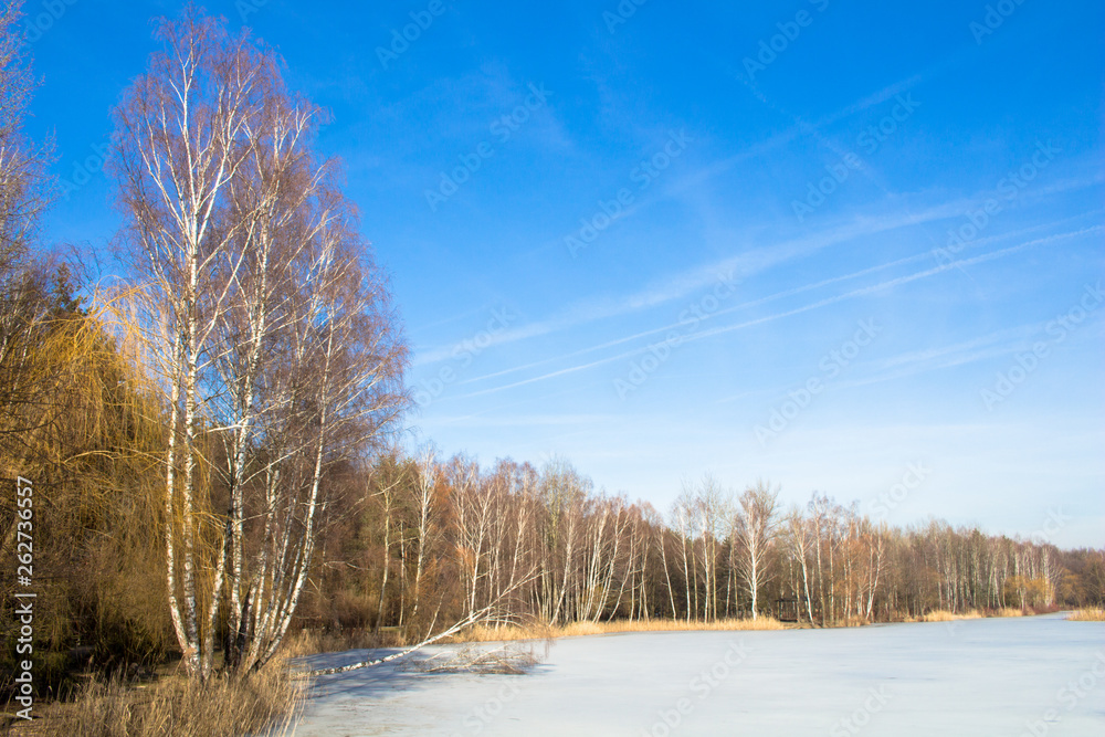 Edge of the forest near the frozen lake. Spring. Winter. Edge of the forest near the frozen lake. Spring. Winter.