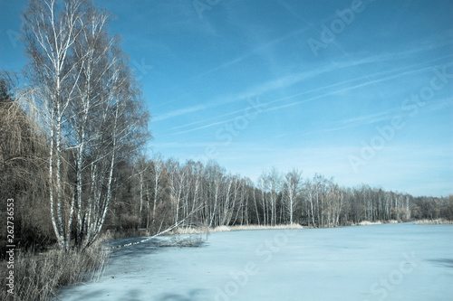 Edge of the forest near the frozen lake. Spring. Winter.