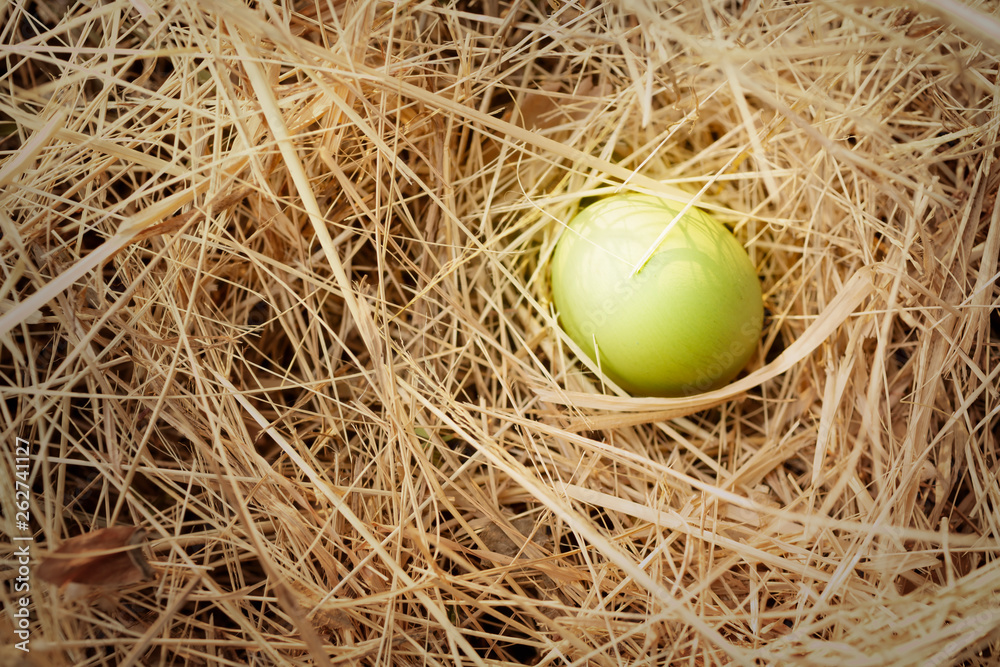 Egg in nature.Easter concept.background. Egg in nature.Easter concept.background.