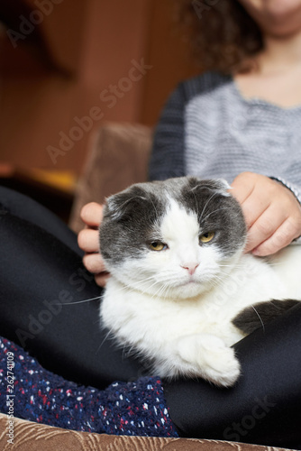 Woman in warm socks and in a sweater strokes a cute cat