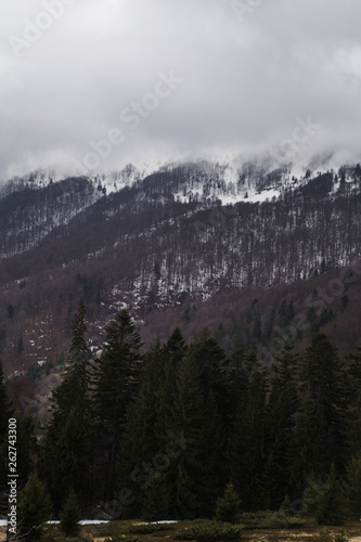 Sunny landscape at the end of winter season © Mykhailo