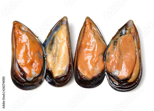 Fresh mussel on white background