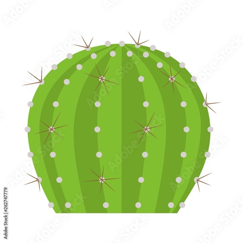 Cactus with thorns on white background. Cactus icon in flat style. Design element for wallpaper, greeting card, poster, flyer, banner print