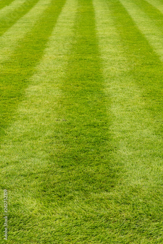 Fresh cut grass lawn with stripes