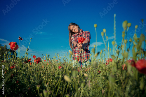 girl in the poppy field. Bouquet of poppies in hand. Seasonal flowering poppies, hands with flower, poppy field