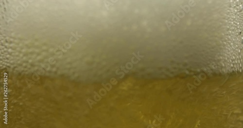 Wallpaper Mural Pouring cold golden light beer into a glass. Craft beer making bubbles and foam Torontodigital.ca