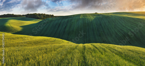 Canvas Print hilly field. picturesque spring field. agricultural field