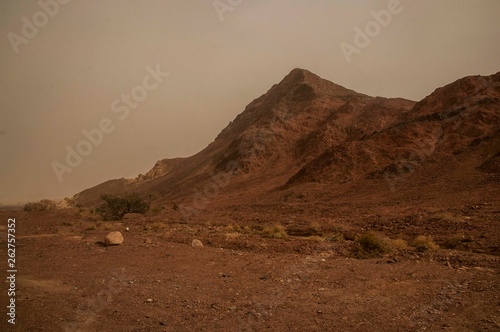 Israeli desert