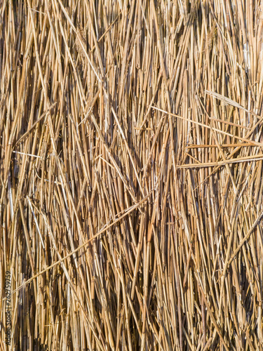 Reed flooring. Pattern