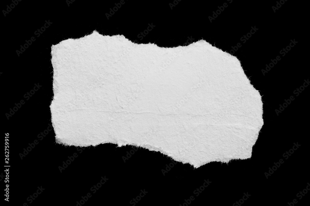 pieces of torn paper texture background, copy space. pieces of torn paper texture background, copy space.