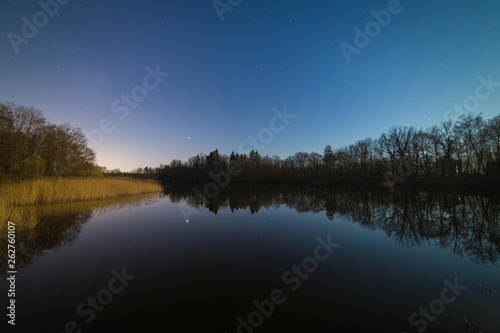 Calm forest lake late at starry night