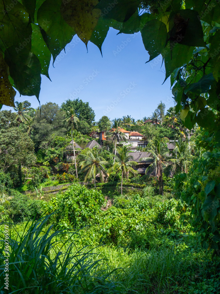Beautiful landscape in Bali