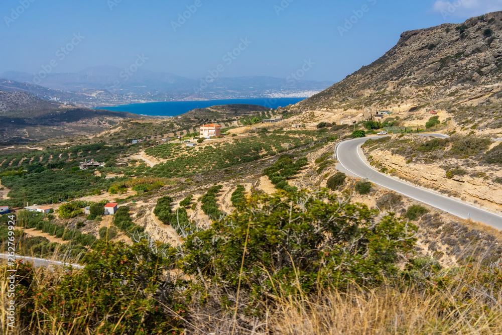 Fototapeta premium olive plantation on the Crete,Greece