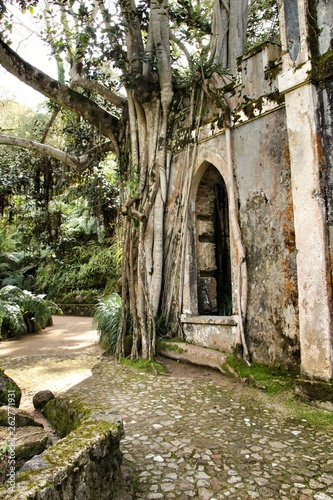 Fototapeta Naklejka Na Ścianę i Meble -  Ancient stone ruins in a leafy garden of Sintra