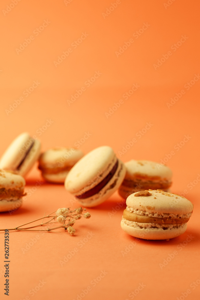  handmade macaron on beautiful background