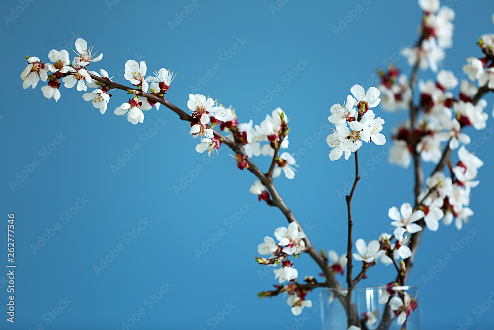 Beautiful blossoming branches on color background Beautiful blossoming branches on color background