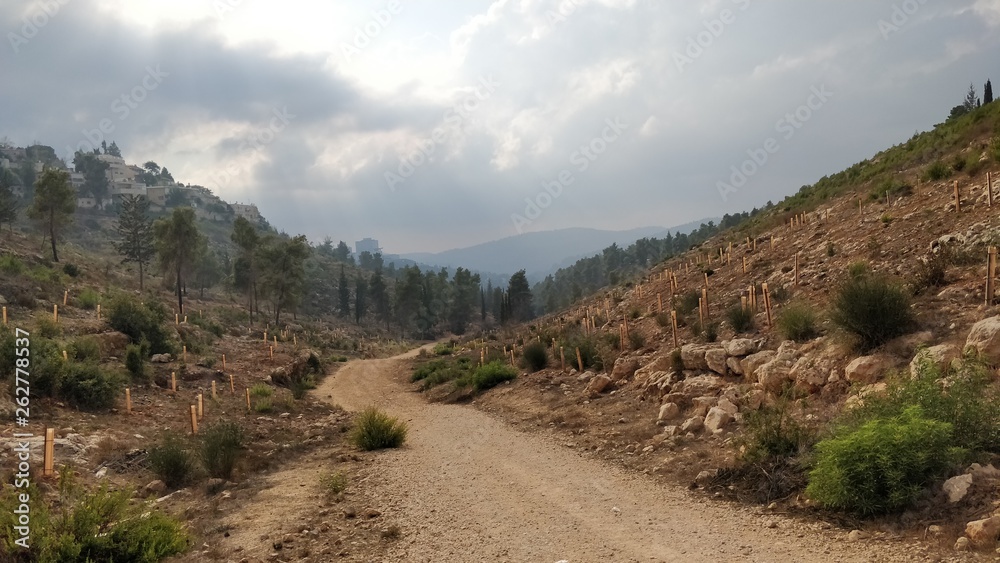 road in mountains