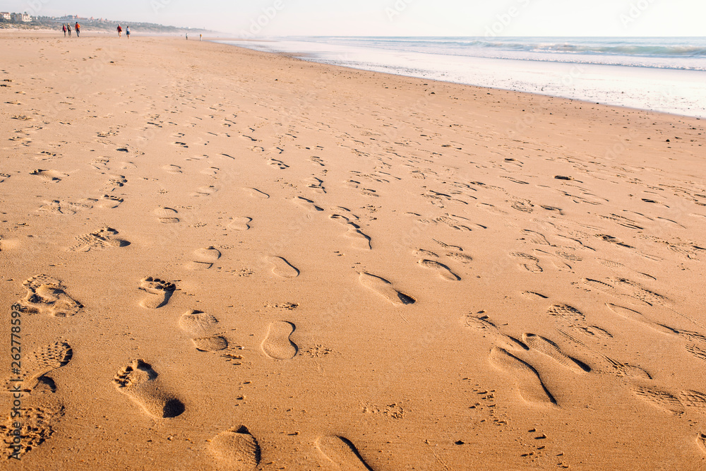 footprints in the wet sand of the beach footprints in the wet sand of the beach