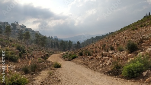 road in mountains