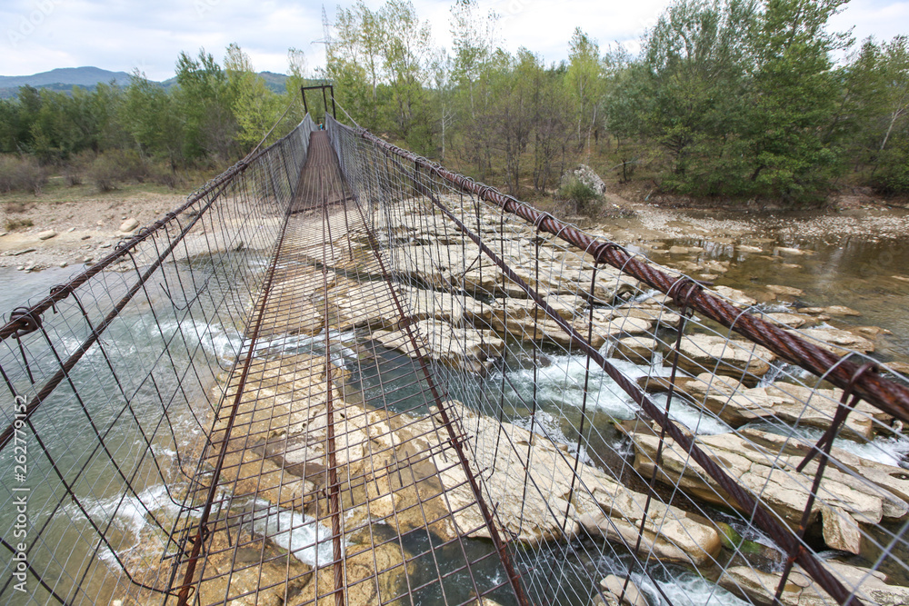 Fototapeta premium A bridge in the forest