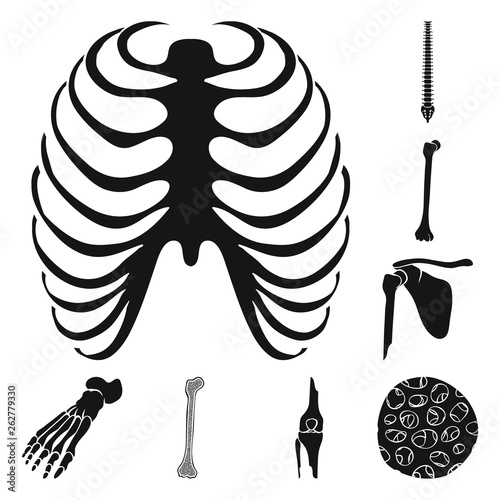 Vector design of biology and medical logo. Set of biology and skeleton stock symbol for web.