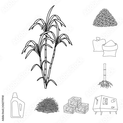 Isolated object of sugar and field sign. Set of sugar and plantation stock symbol for web.