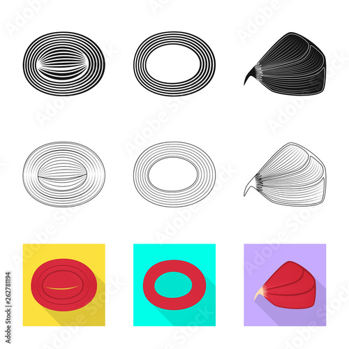 Vector illustration of fiber and muscular icon. Collection of fiber and body  stock vector illustration.