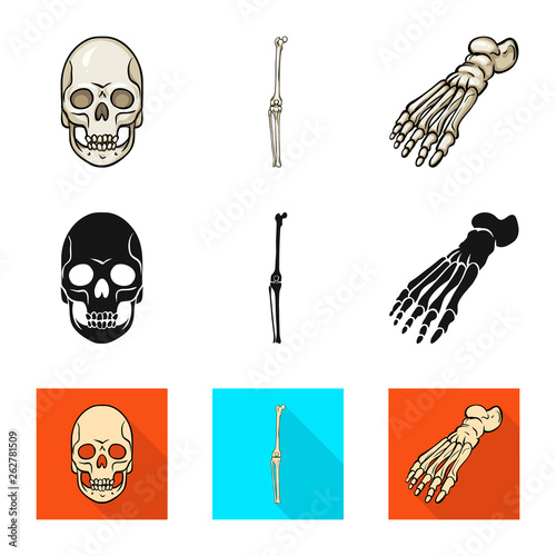 Vector design of medicine and clinic icon. Collection of medicine and medical stock vector illustration.