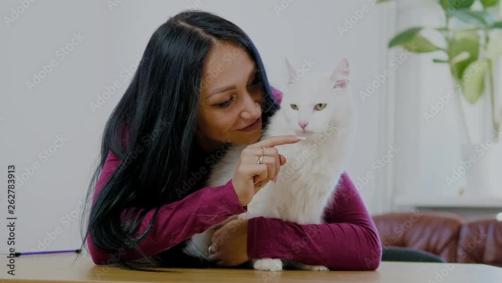 Woman playing with her white cat Woman playing with her white cat