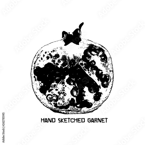 Vector hand drawn illustration of garnet isolated .