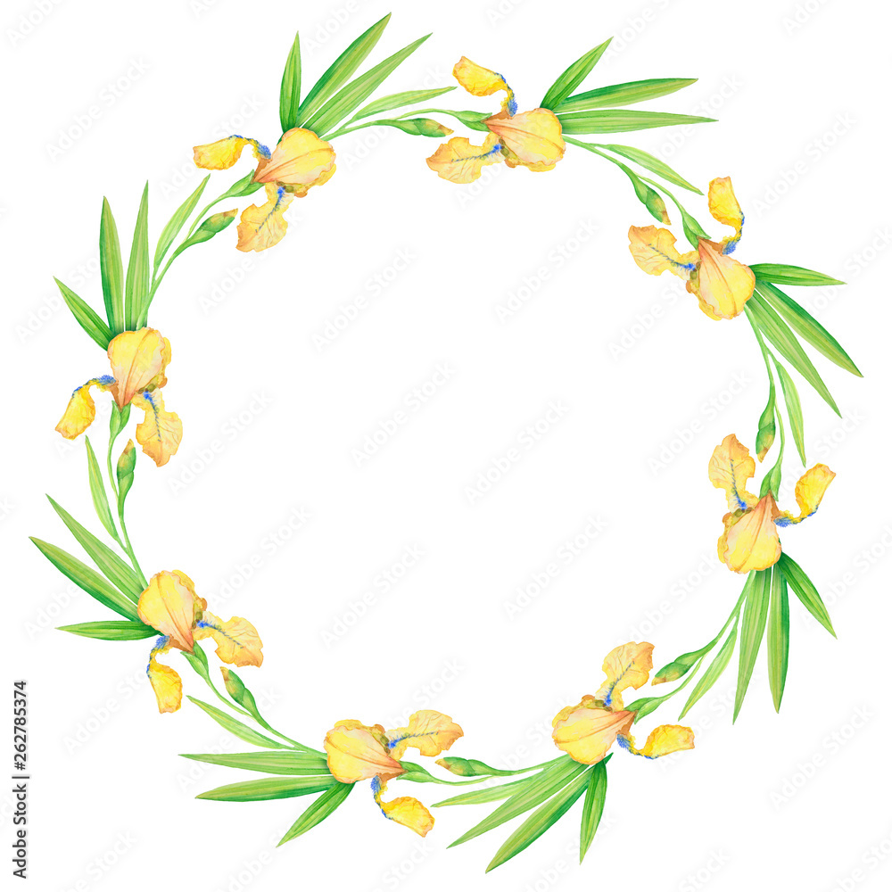 Yellow irises, beautiful delicate wreath of flowers and leaves, watercolor illustration . Yellow irises, beautiful delicate wreath of flowers and leaves, watercolor illustration .