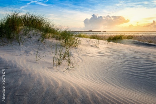 Fototapeta Naklejka Na Ścianę i Meble -  Beach in the Morning