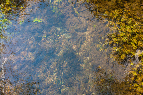 Naturalistic oasis Fontane Bianche in Italy