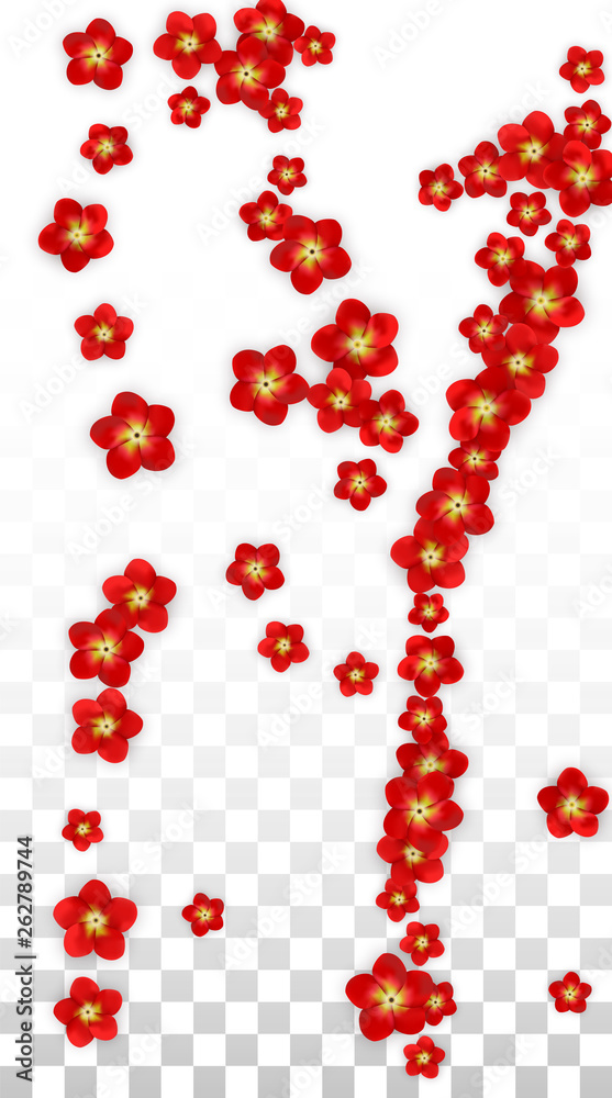 Vector Realistic Red Flowers Falling on Transparent Background. Spring Romantic Flowers Illustration. Flying Asian Rose Spa Design. Blossom Confetti. Design Elements for Wedding Decoration. Vector Realistic Red Flowers Falling on Transparent Background. Spring Romantic Flowers Illustration. Flying Asian Rose Spa Design. Blossom Confetti. Design Elements for Wedding Decoration.