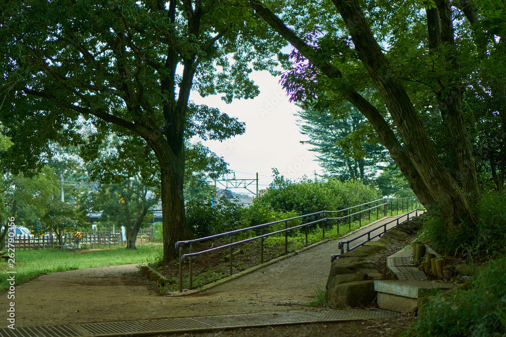 分かれ道_新緑の公園
